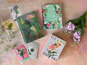 Flower books spread out over a speckled pink background