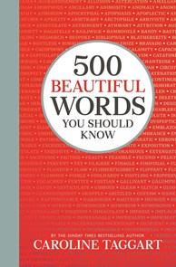 Red cover image for 500 beautiful words you should know