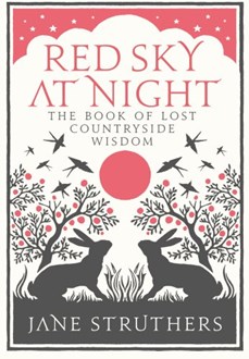 Illustrated book jacket for Red Sky at Night