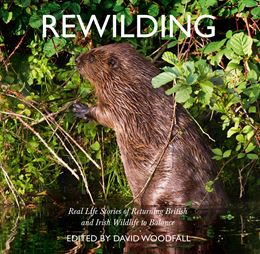 REWILDING (HARPER COLLINS)