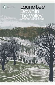 DOWN IN THE VALLEY (PENGUIN MODERN CLASSICS) (PB)