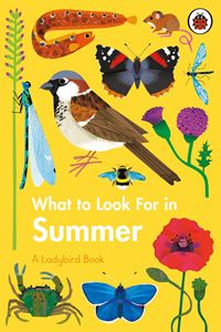 WHAT TO LOOK FOR IN SUMMER (LADYBIRD) (HB)