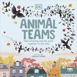 ANIMAL TEAMS (DK)