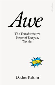 AWE: THE TRANSFORMATIVE POWER OF EVERYDAY WONDER (HB)