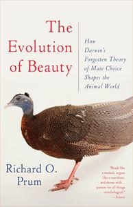 EVOLUTION OF BEAUTY (RH USA) (PB)