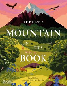 THERES A MOUNTAIN IN THIS BOOK (HB)