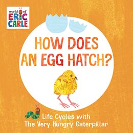 HOW DOES AN EGG HATCH (ERIC CARLE/PENGUIN US/BOARD)