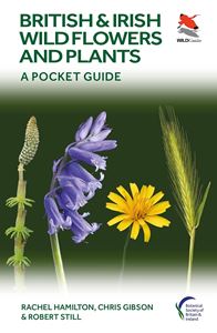 BRITISH AND IRISH WILD FLOWERS/ PLANTS (WILD GUIDES) (PB)