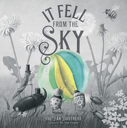 IT FELL FROM THE SKY (PB)