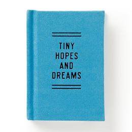 TINY HOPES AND DREAMS TINY DIARY (GALISON)