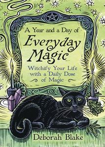 YEAR AND A DAY OF EVERYDAY MAGIC (PB)