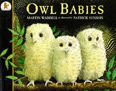 OWL BABIES (PB)