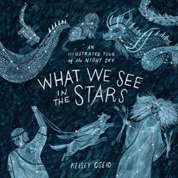 WHAT WE SEE IN THE STARS (BOOK)