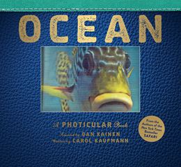 OCEAN: A PHOTICULAR BOOK (WORKMAN) (HB)