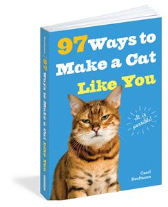 97 WAYS TO MAKE A CAT LIKE YOU (WORKMAN)