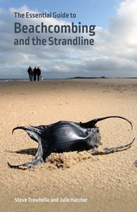 ESSENTIAL GUIDE TO BEACHCOMBING AND THE STRANDLINE (WILD NAT