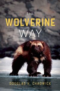 WOLVERINE WAY (PATAGONIA)