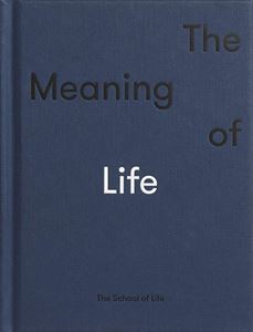 MEANING OF LIFE (SCHOOL OF LIFE) (HB)