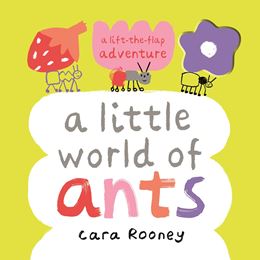 LITTLE WORLD OF ANTS (LIFT THE FLAP) (HB)