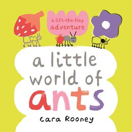 LITTLE WORLD OF ANTS (LIFT THE FLAP ADVENTURE) (PB)