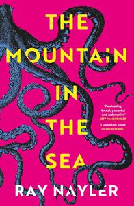 MOUNTAIN IN THE SEA (PB)