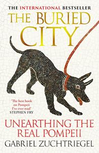 BURIED CITY: UNEARTHING THE REAL POMPEII (HB)