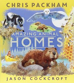 AMAZING ANIMAL HOMES (PB)