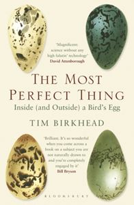 MOST PERFECT THING: INSIDE (AND OUTSIDE) A BIRDS EGG