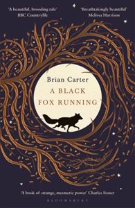 BLACK FOX RUNNING