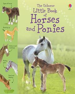 LITTLE BOOK OF HORSES AND PONIES (HB)