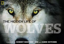 HIDDEN LIFE OF WOLVES (NATIONAL GEOGRAPHIC) (HB)