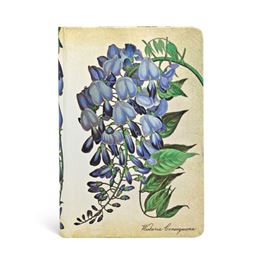 PAPERBLANKS BLOOMING WISTERIA: LINED MINI JOURNAL (HB)