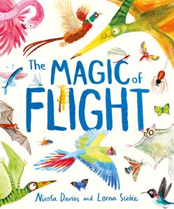 MAGIC OF FLIGHT (HB) (NEW)