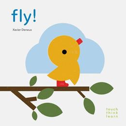 FLY (TOUCHTHINKLEARN) (BOARD)