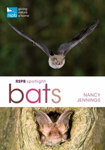 RSPB SPOTLIGHT: BATS (PB)