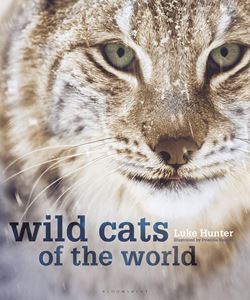 WILD CATS OF THE WORLD