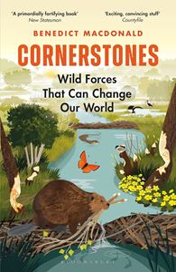 CORNERSTONES (PB)