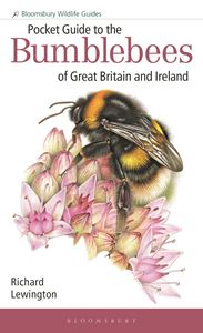 POCKET GUIDE TO / BUMBLEBEES / GREAT BRITAIN (LOW DISCOUNT)