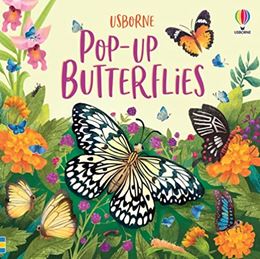 POP UP BUTTERFLIES (BOARD)