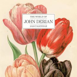 WORLD OF JOHN DERIAN WALL CALENDAR 2026