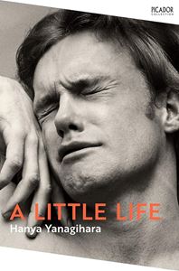 LITTLE LIFE (PICADOR COLLECTION) (PB)