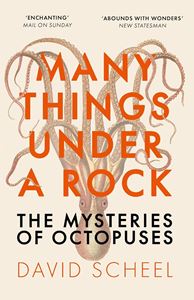 MANY THINGS UNDER A ROCK: THE MYSTERIES OF OCTOPUSES (PB)