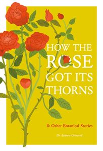 HOW THE ROSE GOT ITS THORNS (HB)