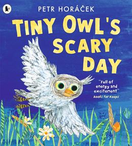 TINY OWLS SCARY DAY (PB)