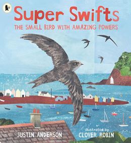 SUPER SWIFTS (NATURE STORYBOOKS) (PB)