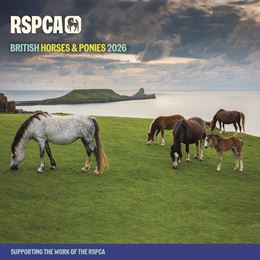 RSPCA BRITISH HORSES AND PONIES WALL CALENDAR 2026