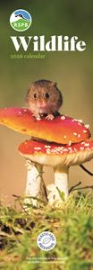 RSPB WILDLIFE SLIM WALL CALENDAR 2026