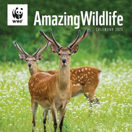 WWF AMAZING WILDLIFE WALL CALENDAR 2025