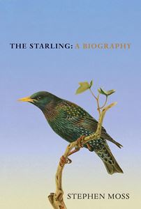 STARLING: A BIOGRAPHY (HB)