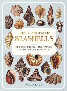 WONDER OF SEASHELLS (HB)